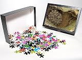 Photo Jigsaw Puzzle of CAN-3235 Western Diamondback Rattlesnake Coiled - In prickly pear cactus from Ardea Wildlife Pets