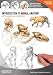 Introduction to Animal Anatomy