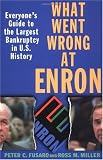 What Went Wrong at Enron: Everyone s Guide to the Largest Bankruptcy in U.S. History