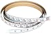 Biesemeyer 79-065 12 foot Right 3/4-Inch English Adhesive-Backed Measuring Tape