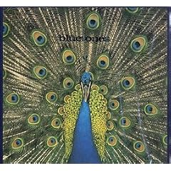 Expecting to Fly [VINYL]