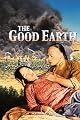 play video on Amazon Instant Video