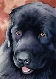 Newfoundland Dog Art Print Signed by Artist DJ Rogers