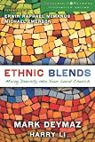 Ethnic Blends: Mixing Diversity into Your Local Church (Leadership Network Innovation Series)