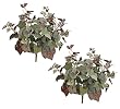 TWO 21" Frosted Artificial Grape Bushes with Grapes