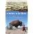 A Buffalo in the House: The True Story About a Man, an Animal, and the American West