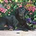 Labrador Retriever, Black Puppies 2008 Mini Wall Calendar