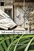 Saltwater Empire (Paperback)