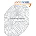 From Calculus to Cohomology: De Rham Cohomology and Characteristic Classes