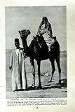 C1920 ヌビア砂漠のアラビアのラクダのアフリカ Shilluk の髪型