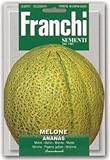 【FRANCHI社種子】【91/15】イタリアンメロン　ANANAS