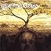 ...And Life Is Very Long [Explicit]
