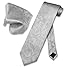Vesuvio Napoli Silver Grey PAISLEY NeckTie & Handkerchief Matching Neck Tie Set, Silver Gray, One Size