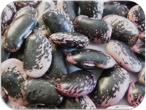 まめやの底力 中国产 大黑花芸豆(紫花豆) 1kg