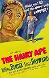 Hairy Ape