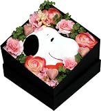 �y09��̓��z�X�k�[�s�[�{�b�N�X�@�s�[�`�L�����f�B