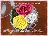 �y���������z�y��̓��M�t�g�z���\�[�v�t�����[ �v�`�n�[�g �y5/5~5/10�̊Ԃɂ��͂��z
