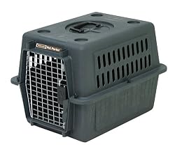 Petmate Pet Porter Kennel, Small, Dark Gray