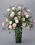 ���G�}�A�[�g�t�����[�@�\�t�B�A���[�Y�`�O�T�O�P�|�T�O�O�@