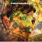 Trinka Trinka (ALBUM+DVD)(First Press Limited Edition)(Japan Version)