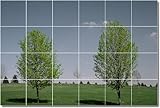 IMAGE OF Landscapes Photo Kitchen Tile Mural 14. 12.75x17 inches using (12) 4.25x4.25 ceramic tiles.