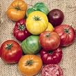 Beefsteak Tomato Heirloom Certified Organic Seeds