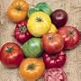 Beefsteak Tomato Heirloom Certified Organic Seeds
