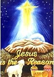 Jesus Is The Reason Large Flag