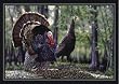 Milliken Turkey Doormat 22" X 32"