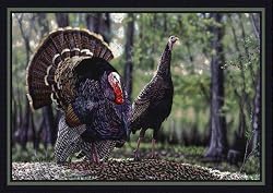 Milliken Turkey Doormat 22" X 32"