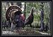 Milliken Turkey Doormat 22" X 32"