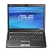 ASUS F6Ve-B1 13.3-Inch WXGA Laptop (2.66 GHz Intel Core 2 Duo T9550 Processor, 4 GB RAM, 320 GB Hard Drive, Vista Premium)