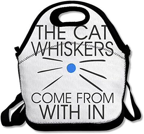 Lygfdsss Dan And Phil Funny Lunch Tote Lunch Bag