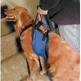 Lift-N-Aid Mobility Harness-Large