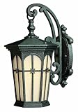 Warwick Patina Black Outdoor Wall Light Hinkley (1210PT)