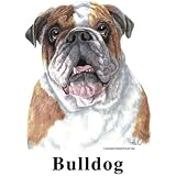 Bulldog Cordial - Shot Glass