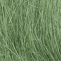Field Grass, Medium Green