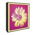 Daisy, 1982 Pop Art - Fuchsia/ Yellow (14x14")
