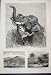 1876 Indian Hunting Elephant Apia Samoa Island Print