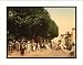 FRAMED - Arab market Blidah Algeria, c. 1890s