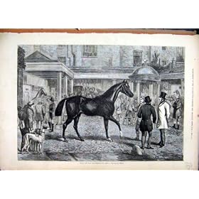 Horse Sale Tattersall 1876 Dog Men Building Old Print