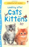 Looking after cats and kittens