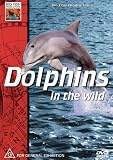 Dolphins in the Wild by Big Fish Ent.