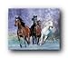 BOB LANGRISH HORSES RUNNING PHOTO 16X20 POSTER PS16670