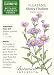 Showy Fleabane Botanic Gardens Series Seeds 75 Seeds