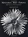 Natural Art Forms (Dover Pictorial Archive Series) by Karl Blossfeldt