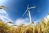 Wallmonkeys Peel and Stick Wall Decals Wind Turbine Renewable Energy Source 24W x 16H Removable Graphic Review 51te8u oltL. SL160 Wallmonkeys Peel and Stick Wall Decals Wind Turbine Renewable Energy Source 24W x 16H Removable Graphic Review