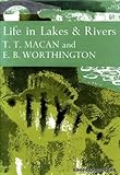 Life in lakes and rivers