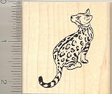 Bengal Cat Rubber Stamp - Wood Mounted