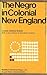 The Negro in Colonial New England